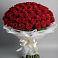 Букет 101 Красная роза Блэк Мэджик в Марково