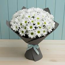 Букет цветов из:  Хризантемы в Марково