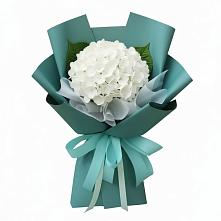 Букет цветов из:  Гортензия в Марково